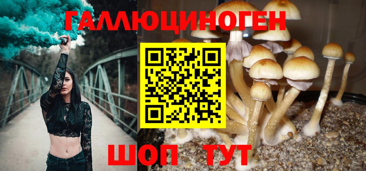 Псилоцибиновые грибы MAGIC MUSHROOMS  Вход с VPN  Нерюнгри 